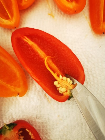sharp knife removing seeds from mini pepper