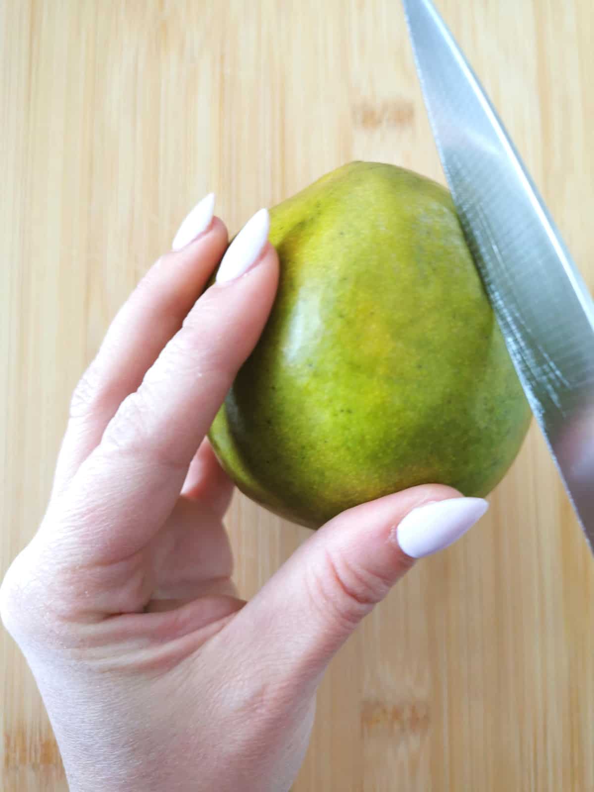 hand holding whole mango with knife identifying pit.