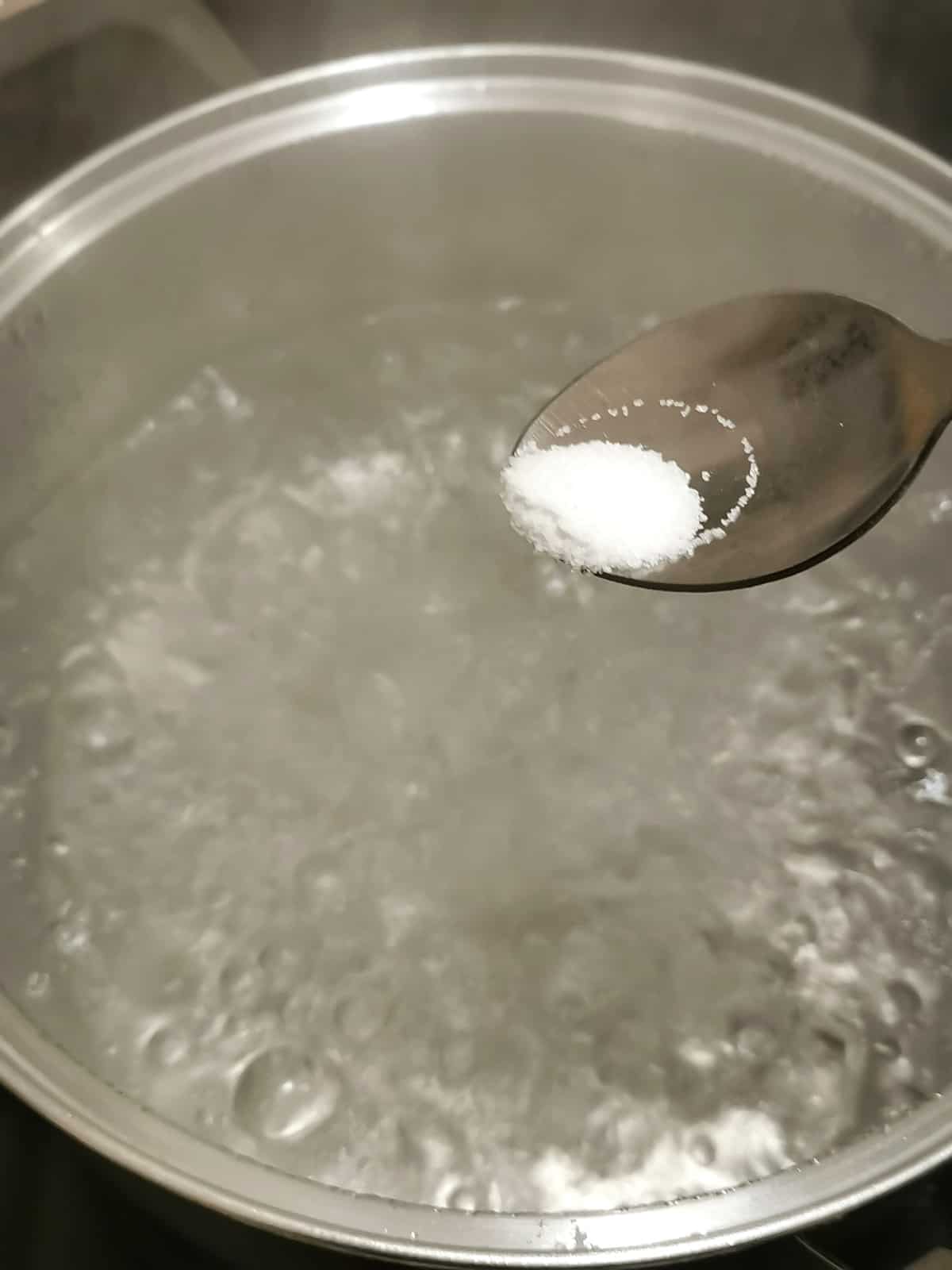 salt added with a teaspoon into rolling boiling water in a large pot on a stove.