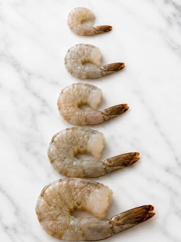 Five raw shrimp arranged from smallest to largest on a white marble background showing a shrimp size comparison.